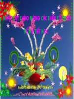 LOP 5 TUAN 33 TIET 165