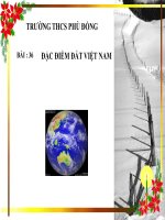 Tiết 42-Đặc điểm đất VN