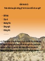 VBbuc thu cua thu linh da do