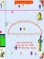 tiết 60: DUNG DỊCH