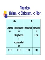 Cơ chế tác động của kháng sinh_phần 4