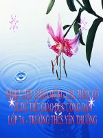 xay dung gia dinh van hoa