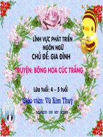 Bông hoa cúc trắng