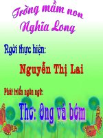 Hoa,ong và bướm