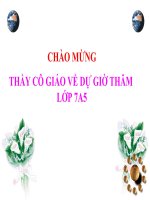 thực hành tổng hợp tiết 1 lớp 7