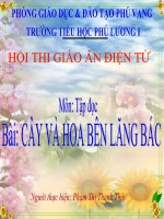 Tiếng Việt- Lớp 2