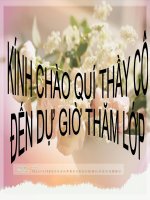 CHẤT RẮN KẾT TINH VÀ CHẤT RẮN VÔ ĐỊNH HÌNH