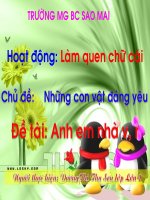 LQCC: Anh em nhà v,r