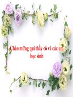 bài 18 sống có đạo đức và tuân theo pháp luật