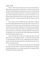 skkn vận dụng một số công thức toán học để hình thành kĩ năng giải nhanh một số dạng bài tập xác suất trong di truyền thường gặp