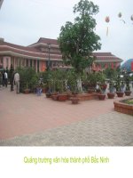 Môtj số hình ảnh Festivl Bắc Ninh 2010