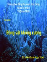 ĐỘNG VẬT NGUYÊN SINH
