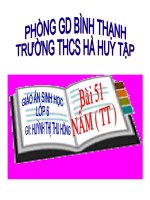 B 51 NẤM ( TT )