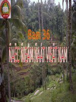 Bai 36:dac Diem Dat VN
