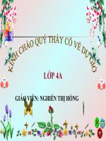 đông vat an gi de song