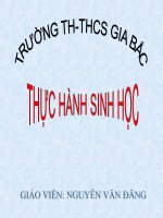 THUC HANH: THUONG BIEN