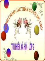 Một số loài vật sống dưới nước