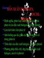 Dẫn xuất halogen 11 nâng cao