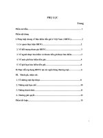 đề tài thực tiễn áp dụng về hoạt động bảo hiểm tiền gửi tại các ngân hàng thương mại