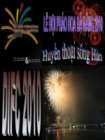 Pháo hoa Đà nẵng Việt nam 2010