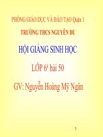 bai 50: Vi Khuẩn
