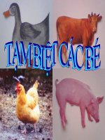 Khám Phá Khoa Học