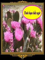 Tình bạn bất ngờ !