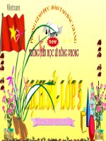 lich su dia phuong - hoang hoa tham