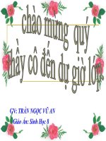 ho hap va cau tao co quan ho hap 2