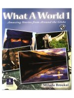 what a world 1 - amazing stories from around the globe