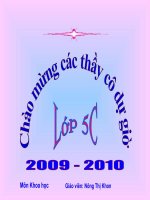 cây con mọc lên từ hạt