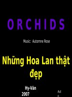 HOA LAN