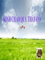 Dap loi khen ngoi Ta ngan ve bac Ho