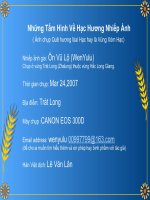 Những bức ảnh chim Hạc đẹp nổi tiếng