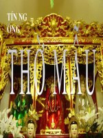 co so van hoa dep ma soc