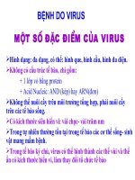 Phòng bệnh virus trên tôm nuôi