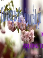 Bai 8 : song chan hoa voi moi nguoi