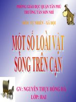 LOAI VAT SONG TREN CAN