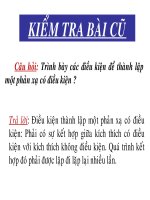 thần kinh cấp cao ở