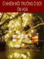 Bài 13 ô nhiểm môi trường ở đới ôn hoà