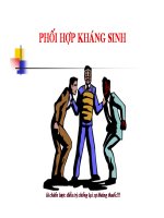 Cơ chế tác dụng của kháng sinh_phần 5