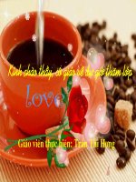 MIÊU TẢ TRONG VĂN BẢN TỰ SỰ