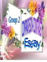 comparison and contrast essay
