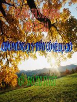 Tiết 102:Biểu đồ phần trăm