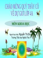 Nhu cau khoang chat cua thuc vat