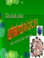 BẢN TIN - LỚP 11 CỰC HAY