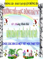 Bài 63 : Động vật ăn gì để sống