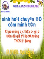 Tiết 67-Ôn tập cuối năm DS9 (SHCĐ cụm trường)