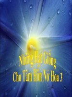 Những hạt giống cho tâm hồn nở hoa-Phần 3