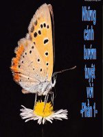 Nhung canh buom tuyet voi -phan I